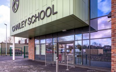 An Education in Fenestration
